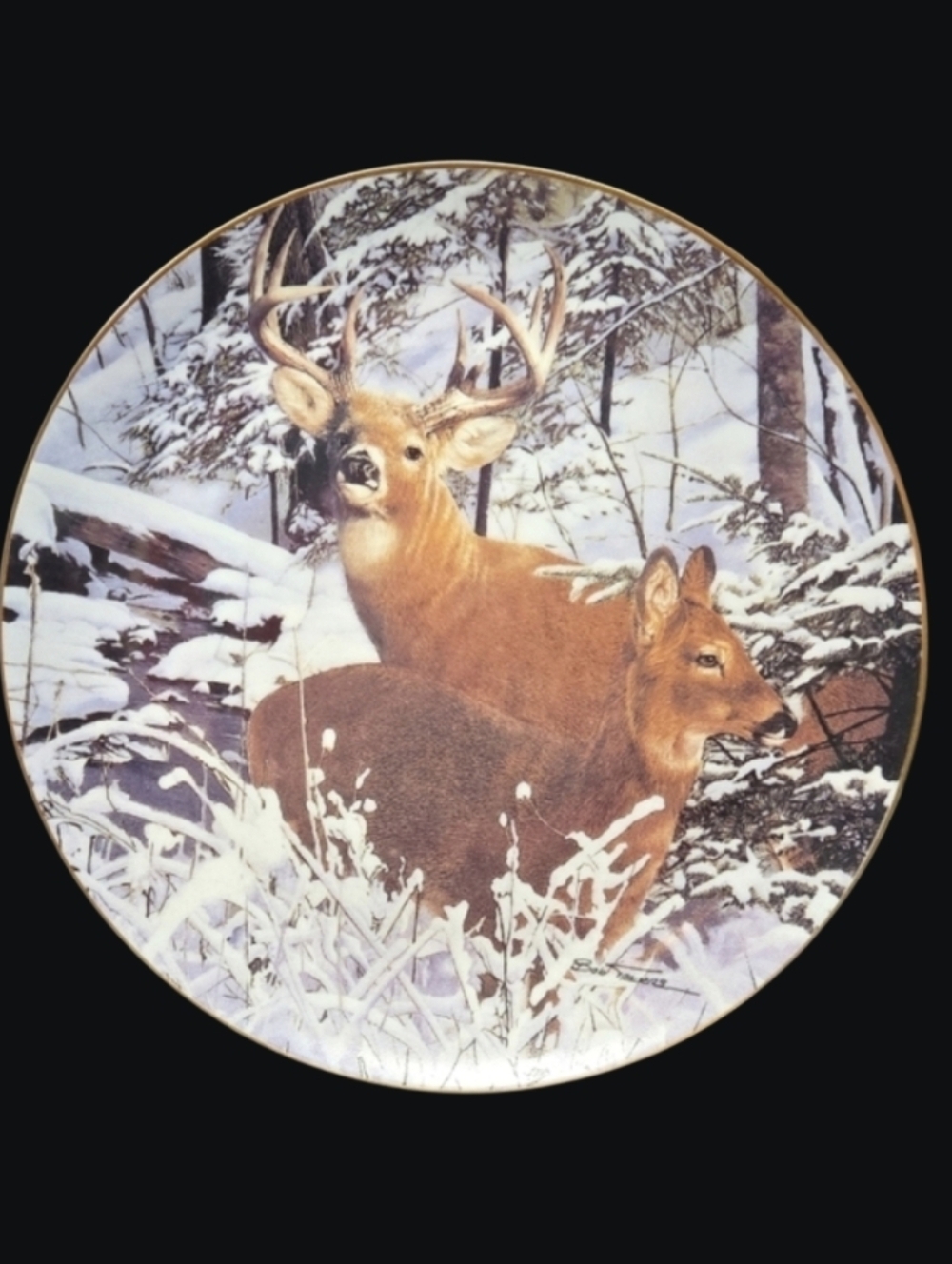 1993 The Danbury Mint "Snowbound" By Bob Travers "Pride Of The Wilderness"